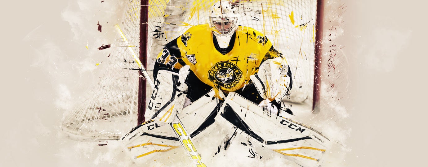 Green Bay Gamblers Hockey Season Tickets Resch Center